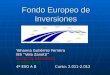 Fondo Europeo de Inversiones