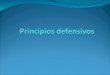 Principios Defensivos del Basquet / Basket