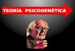 Teoria psicogenetica