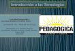 Informe sobre Prueba PAES 2011-2012