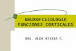 Funciones corticales