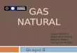 Gas Natural(1)