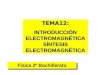 2f 04 d síntesis electromagnetismo