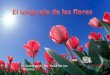 El lenguaje-de-las-flores-milespowerpoints.com