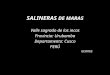 SALINERAS DE MARAS