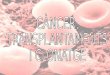 Cancer, Transplantaments i Clonatge