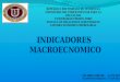Indicadores macroeconómicos presentacion