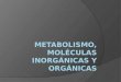 Metabolismo, moléculas inorgánicas y orgánicas