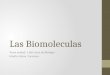 Las biomoleculas unidad 1 de biologia