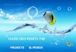 Projecte peixets p3 b
