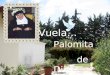 Vuela, Palomita De Dios