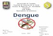 Dengue en adultos y en niños