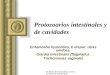 Protozoarios intestinales y de cavidades