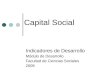 Indicadores Capital Social