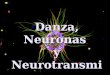 Danza, Neuronas Y Neurotransmisores