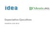 Expectativa de Ejecutivos IDEA 2012