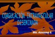 Coagulación intravascular diseminada