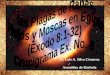CONF. EXODO 8:1-32. (EX. No. 8). LAS PLAGAS DE RANAS, PIOJOS Y MOSCAS EN EGIPTO