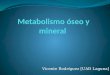 Metabolismo óseo y mineral