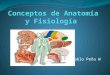 Generalidades de anatomia y fisiologia humana