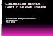 Circuncisión hernias –labio y paladar hendido- 04-13