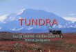 Tundra power