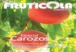 Especial carozos -  revista
