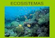 Ecosistemas, trabajo de Fabio y Sergio