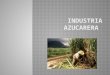 Industrialización de la caña de azúcarrrrr(1)   copia