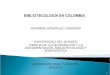 Bibliotecologia en colombia