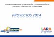 Proyectos Lara 2014