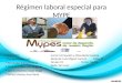 Régimen laboral especial para mype