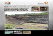 Estado sector minero y sus impactos socioambientales en Nicaragua-2012-2013