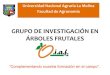 Grupo de Investigacion en Arboles Frutales GIAF