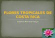 Flores tropicales de Costa Rica