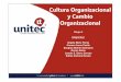 Cultura y cambio organizacional