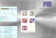 Triptico Proyecto de Química DESARROLLO DE  UN PROTECTOR DE SUPERFICIES  DE ACERO INOXIDABLE  A BASE DE EMULSIÓN DE ACEITE SILICONADO