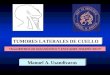 Tumores Laterales de Cuello-Dr.Manuel A. Usandivaras