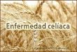 (2012-09-12) Enfermedad celíaca (ppt)