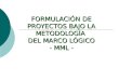 Mml proyectos marco logico