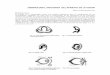 Manual de oftalmologia (Cirugia 2 - UPAO)