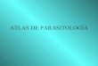 Atlas a-color-de-parasitologia