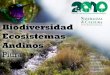 Ecosistemas Andinos