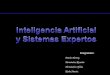 Inteligencia Artificial Y Sistemas Expertos 11,2008  UCV