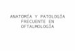 Anatomía y patología frecuente en oftalmología