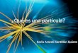 ¿Qué es una partícula?