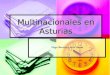 Multinacionales En Asturias I