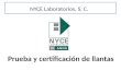 Pruebas y Certificación de llantas NYCE Laboratorios S.C