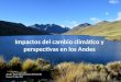 Impactos del cambio climático y perspectivas en los Andes
