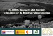 GLORIA: Impacto del Cambio Climático en la Biodiversidad Andina. María Teresa Becerra